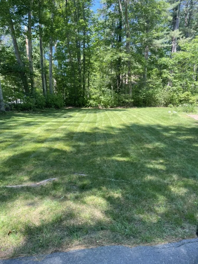 Trusted yard maintenance in Dracut, MA - LDT Landscapes