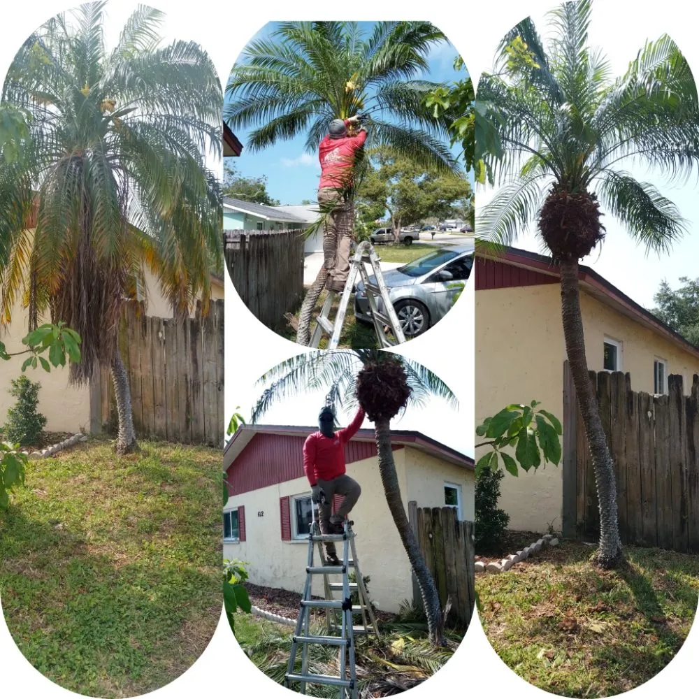 Affordable lawn mowing service in Ellenton, FL by Le Boss Landscaping