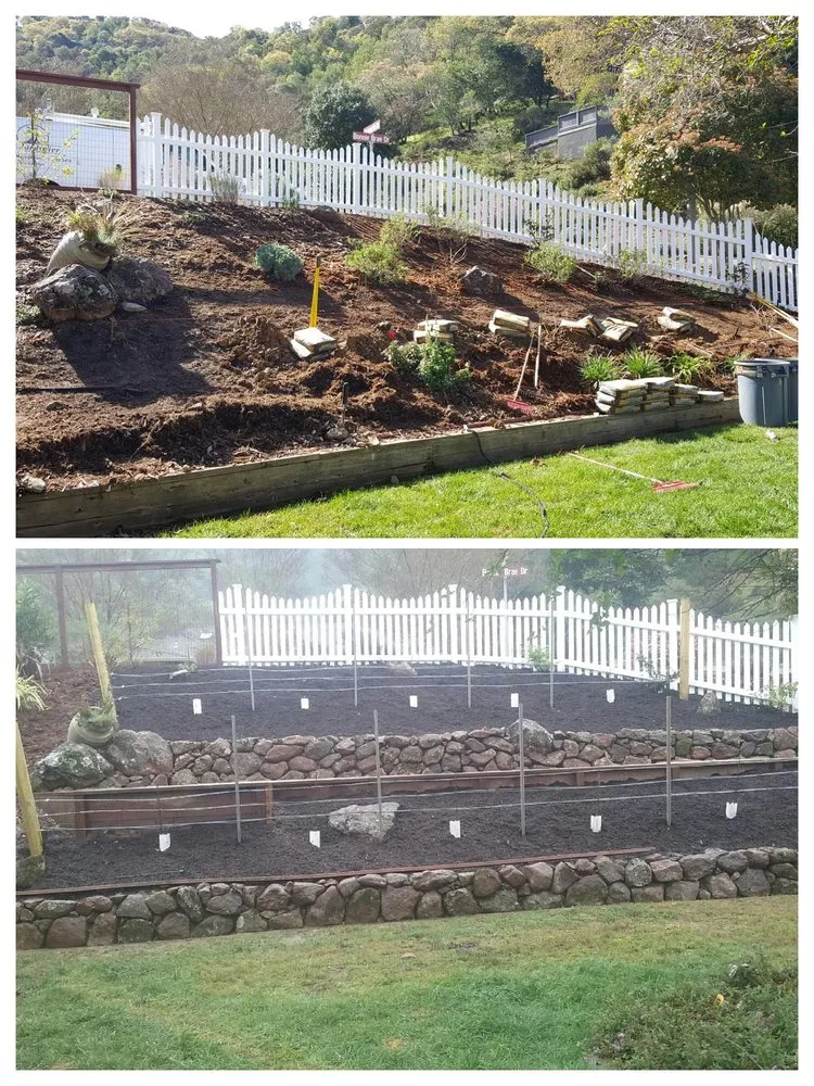 Custom lawn care service experts serving Novato, CA - Le Jardinier Landscape Construction