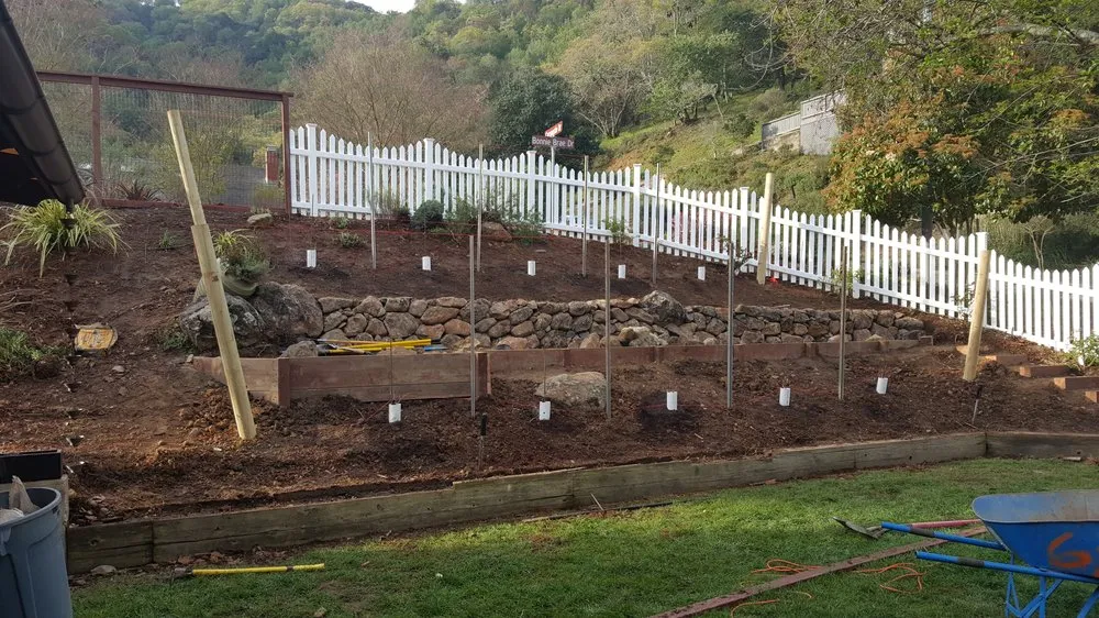 Trusted lawn care service in Novato, CA - Le Jardinier Landscape Construction
