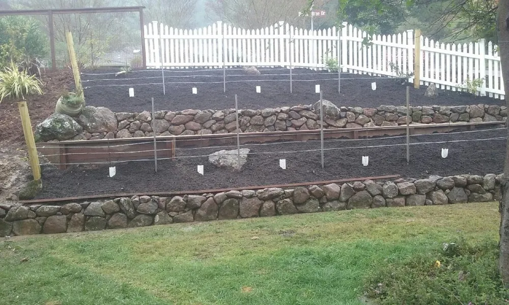 Affordable lawn care service in Novato, CA - Le Jardinier Landscape Construction