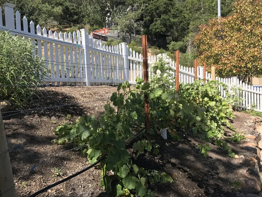 Reliable residential landscaping in Novato, CA by Le Jardinier Landscape Construction