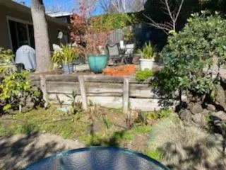 Professional garden landscaping in Novato, CA by Le Jardinier Landscape Construction