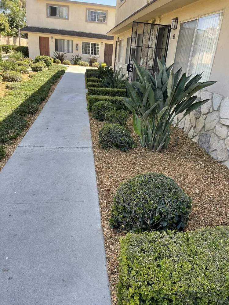 Professional yard cleanup service in Costa Mesa, CA - L&E Landscape Solutions