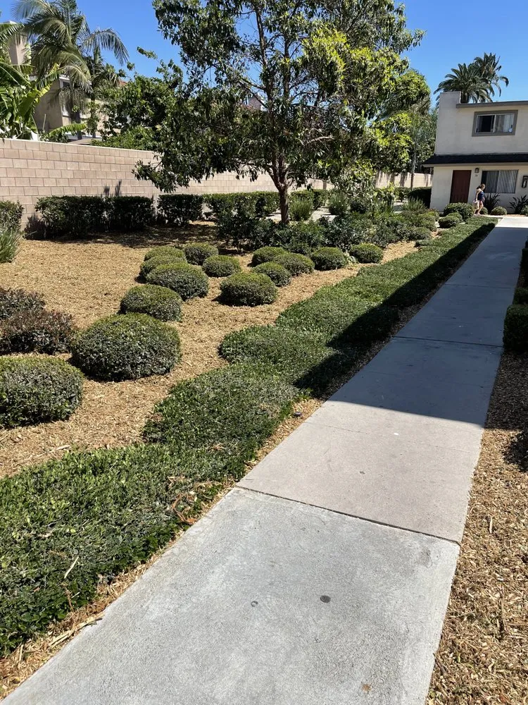 Expert residential landscaping in Costa Mesa, CA by L&E Landscape Solutions