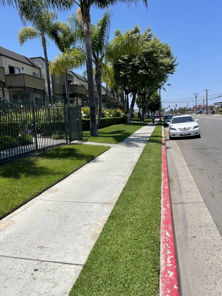 Professional yard maintenance experts serving Costa Mesa, CA - L&E Landscape Solutions