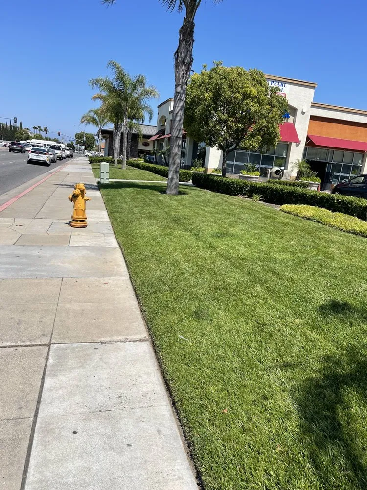 Reliable garden landscaping with custom design across Costa Mesa, CA - L&E Landscape Solutions