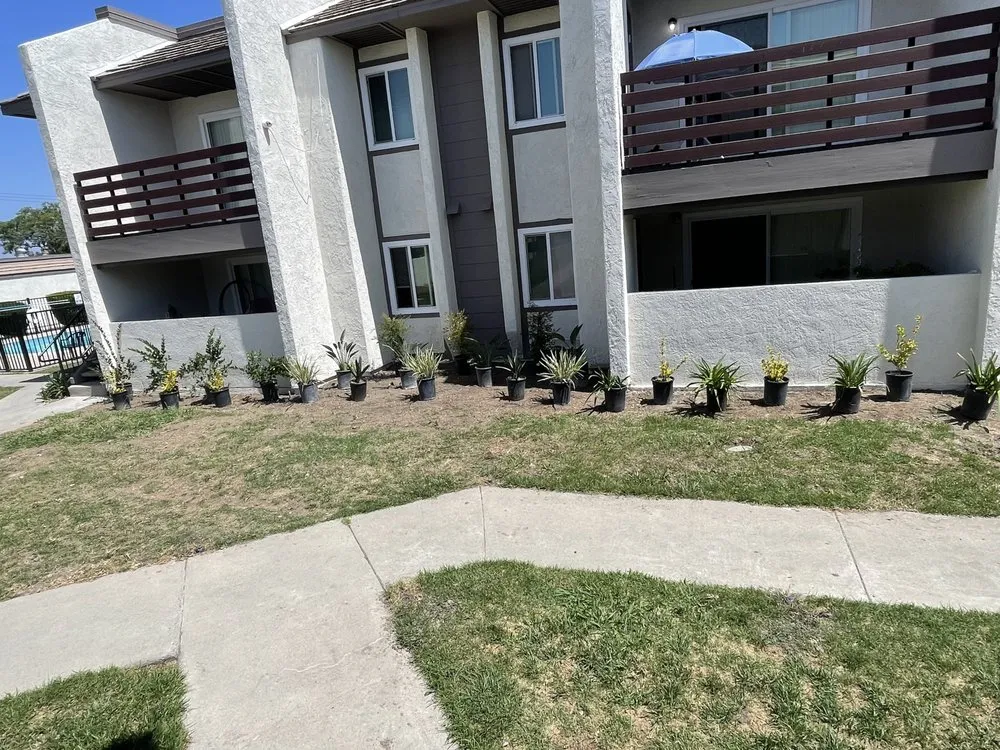 Custom yard cleanup service for beautiful yards across Costa Mesa, CA - L&E Landscape Solutions