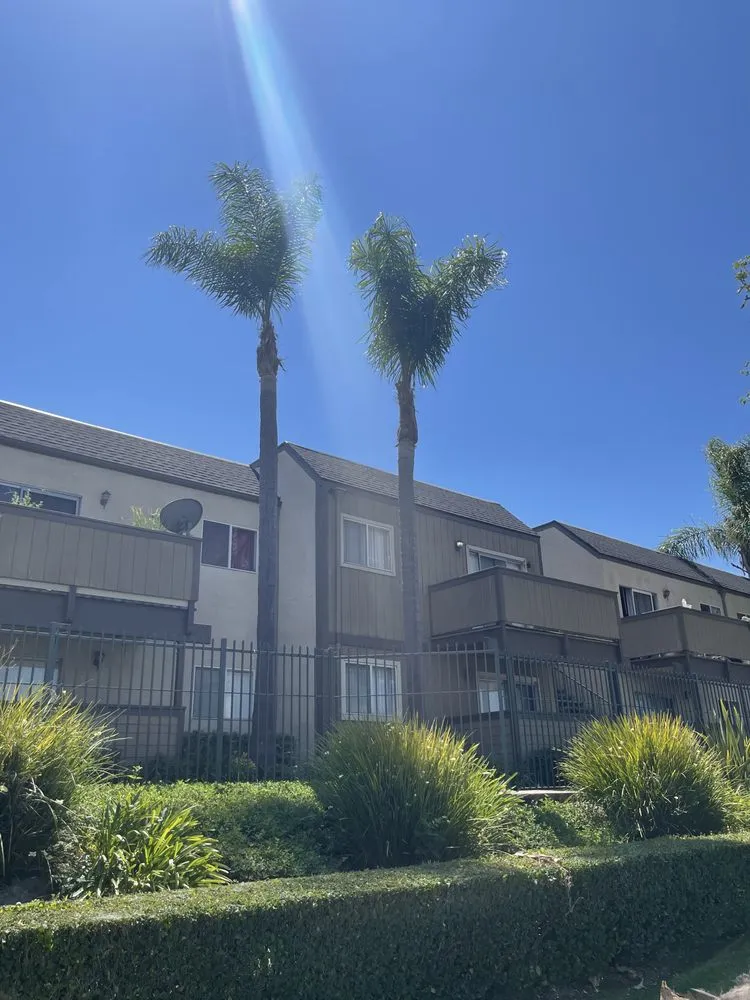 Custom landscape design with custom design in Costa Mesa, CA by L&E Landscape Solutions