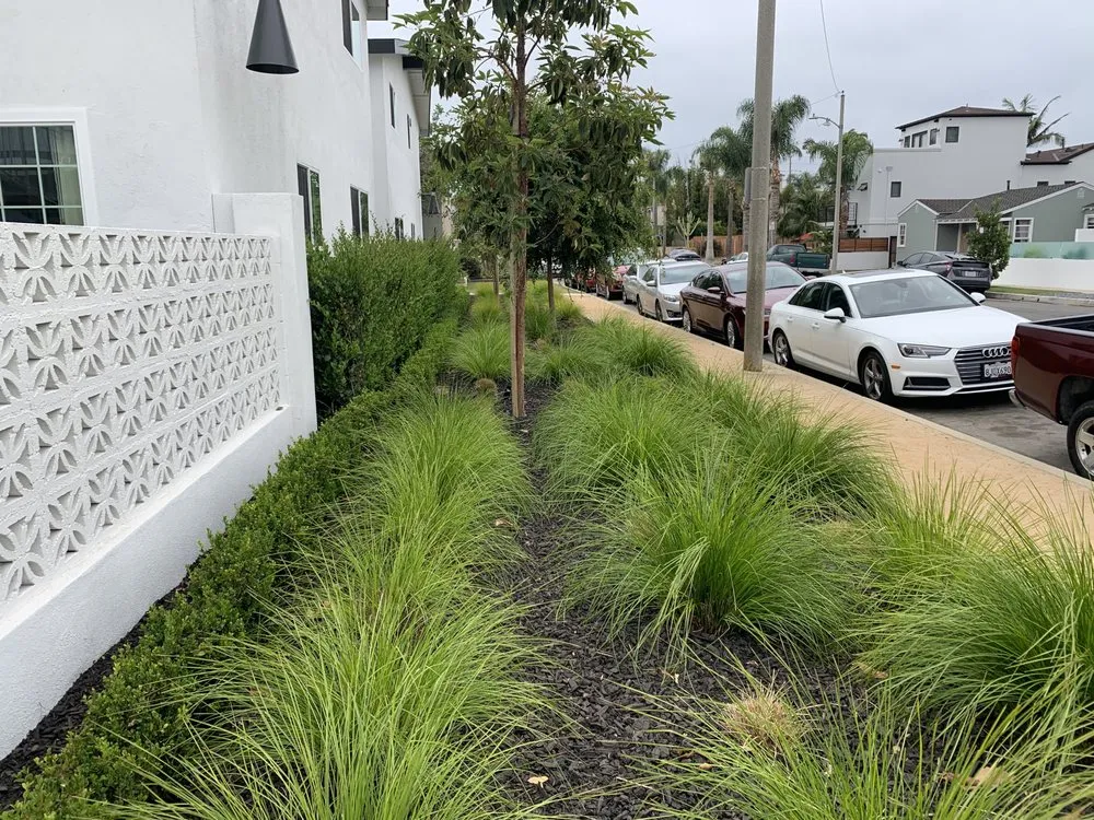 Affordable outdoor landscaping for homes in Costa Mesa, CA by L&E Landscape Solutions