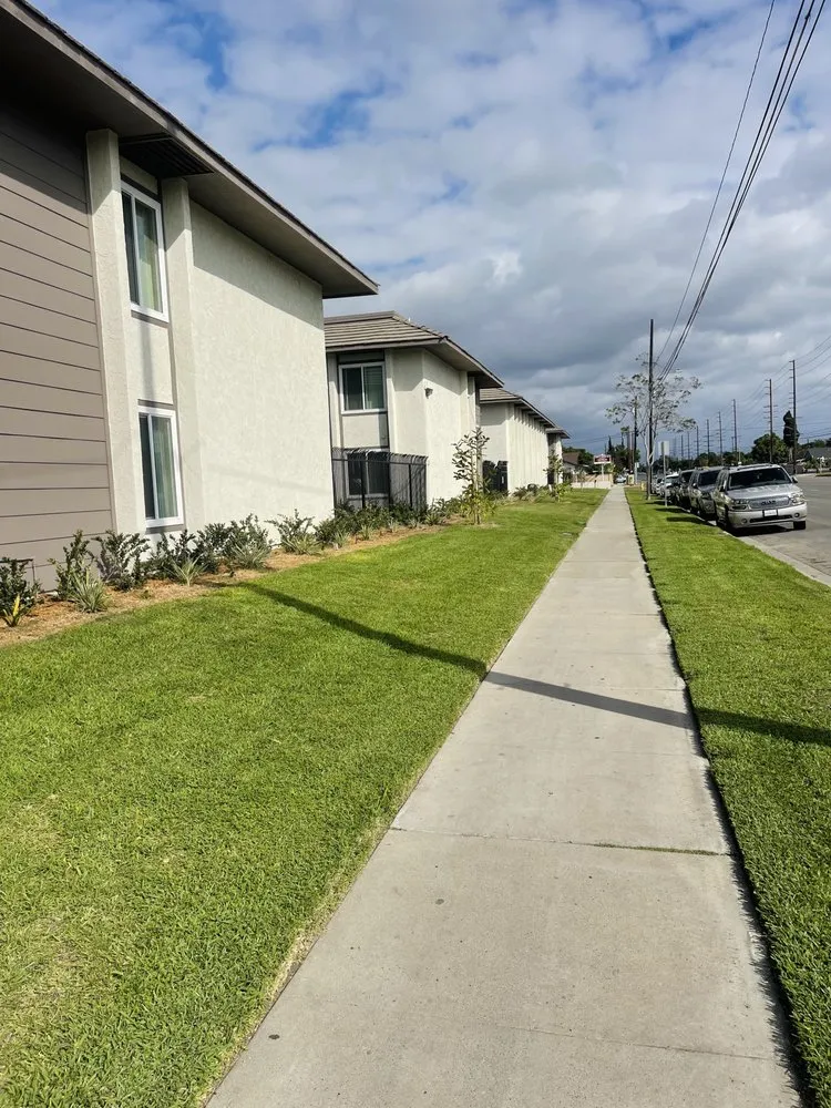 Local yard cleanup service in Costa Mesa, CA by L&E Landscape Solutions