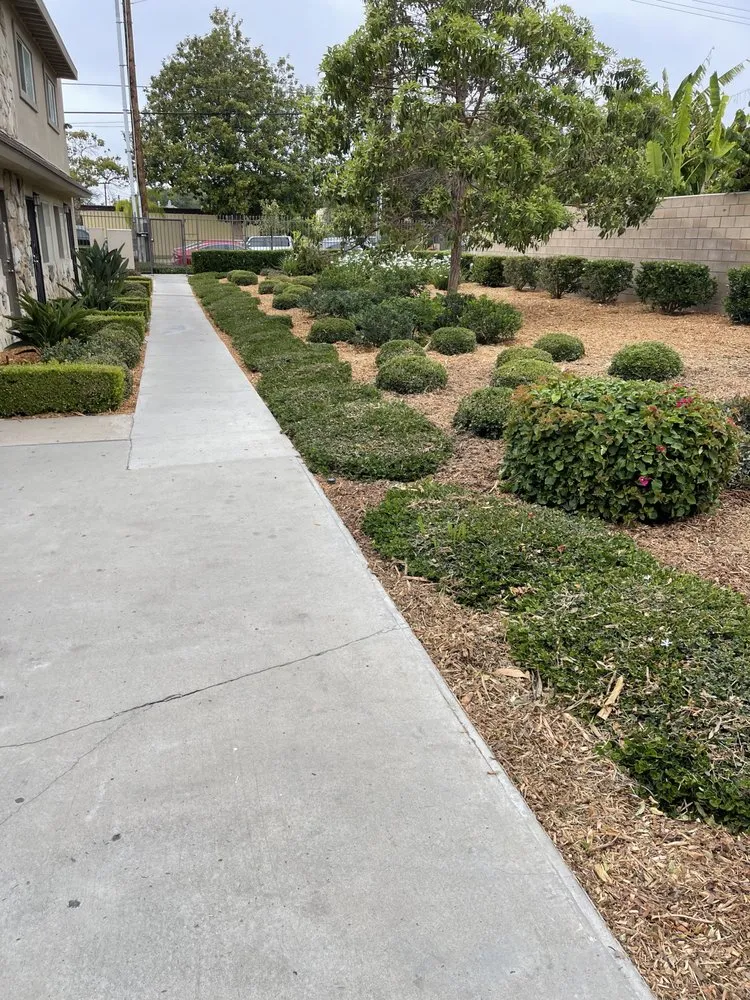 Custom outdoor landscaping in Costa Mesa, CA - L&E Landscape Solutions