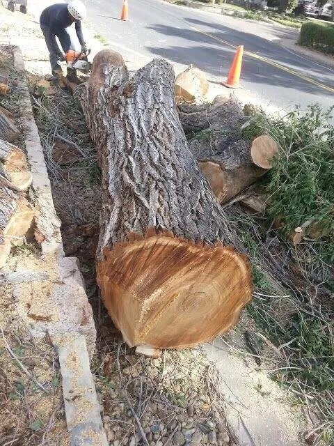 Top-rated landscape installation experts serving Littleton, CO - Le Landscaping & Lawn Service