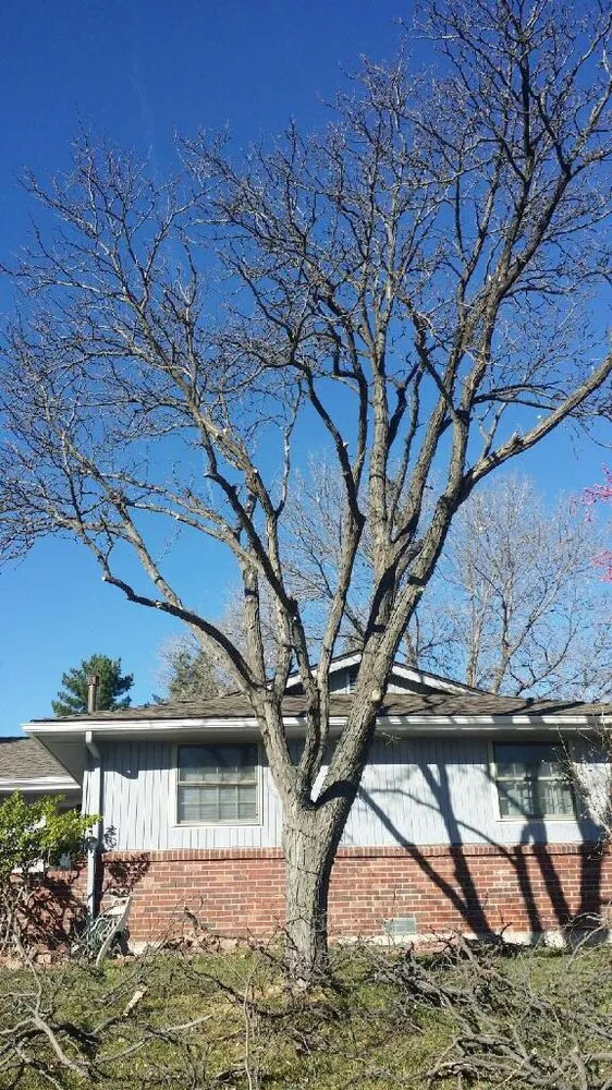 Top-rated garden landscaping for outdoor upgrades in Littleton, CO by Le Landscaping & Lawn Service