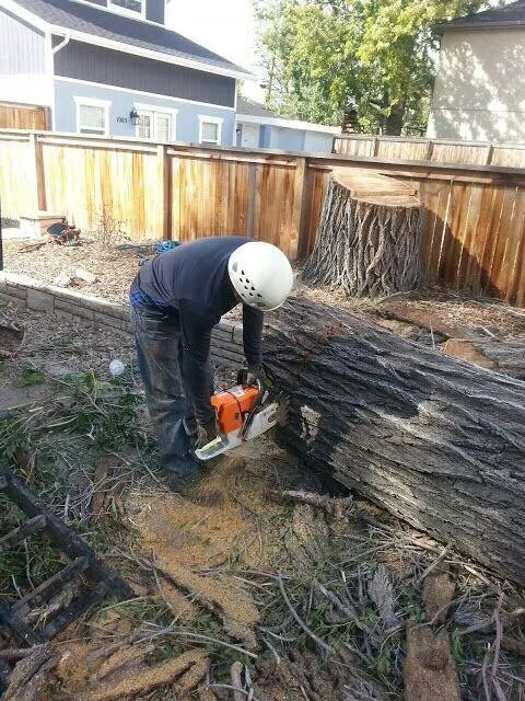 Trusted lawn care service for homes across Littleton, CO - Le Landscaping & Lawn Service