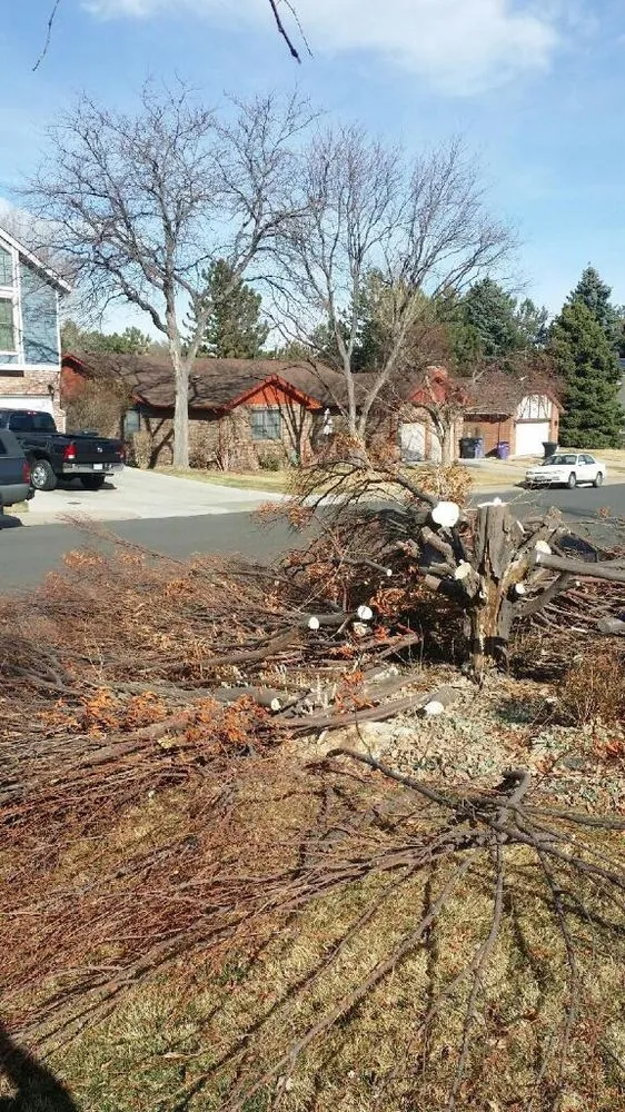 Local garden landscaping in Littleton, CO - Le Landscaping & Lawn Service