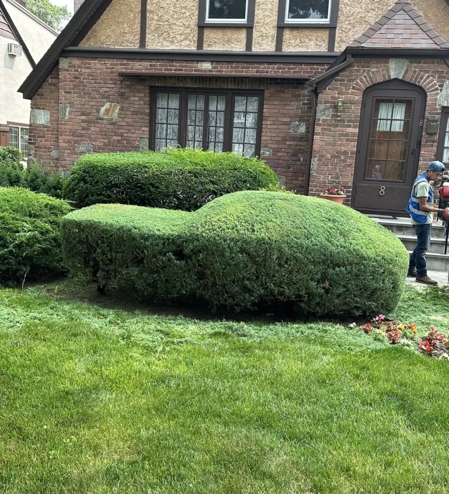 Trusted landscape installation for beautiful yards across White Plains, NY - LE Landscaping Services