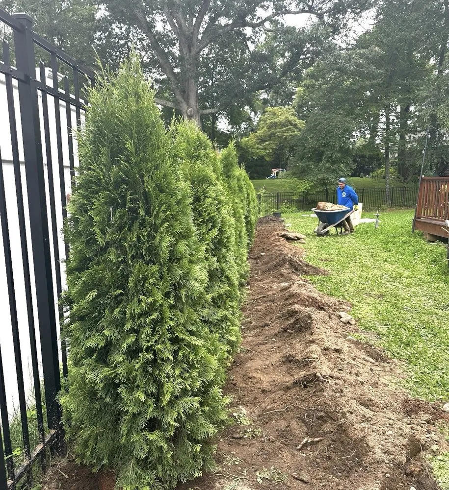 Top-rated landscape installation for year-round maintenance in White Plains, NY by LE Landscaping Services