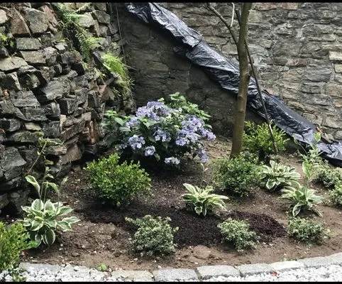 LE Landscaping Services Logo