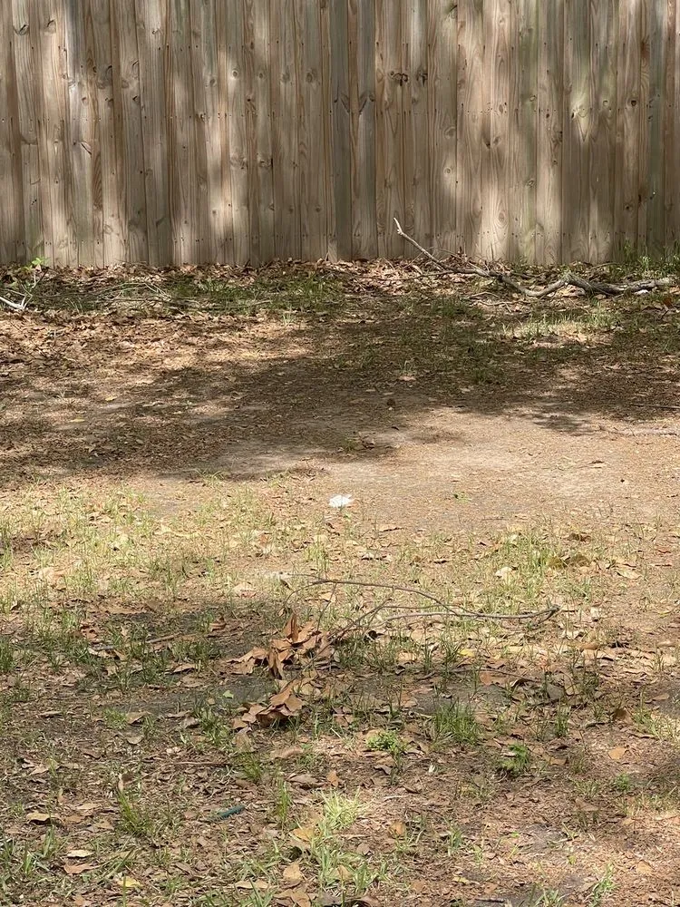 Reliable lawn care service for homes across Monroe, LA - Le Palace Lawn Services