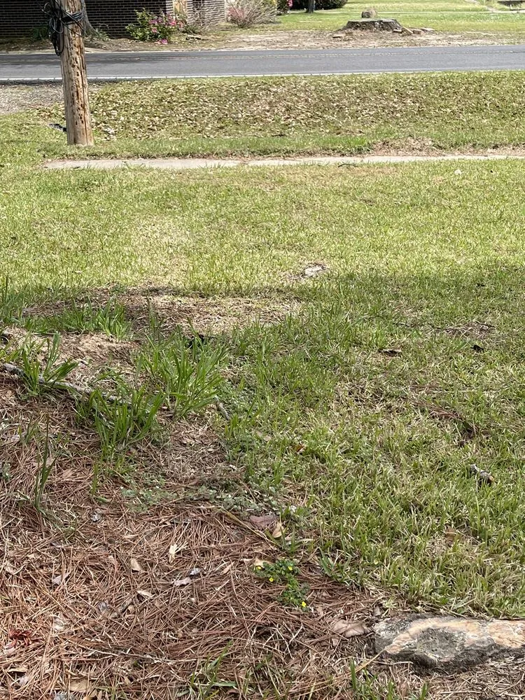 Custom residential landscaping in Monroe, LA - Le Palace Lawn Services