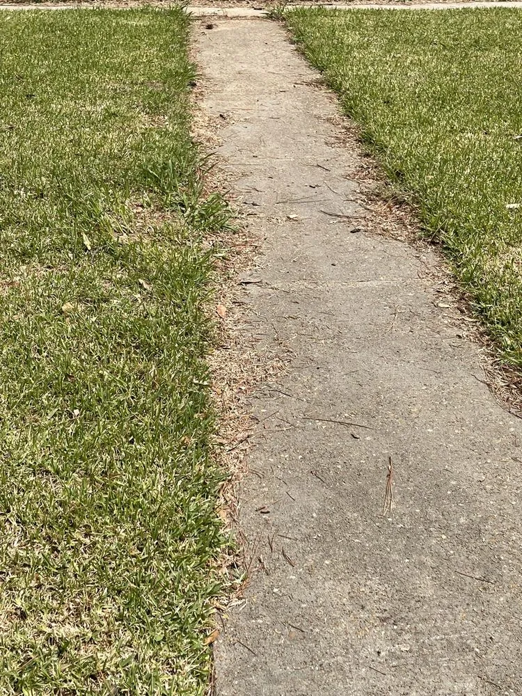 Expert landscaping services in Monroe, LA by Le Palace Lawn Services