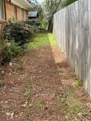 Le Palace Lawn Services