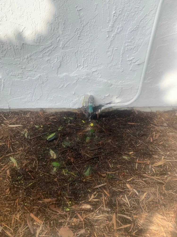 Trusted landscape design in San Diego, CA by Le Perv Landscape