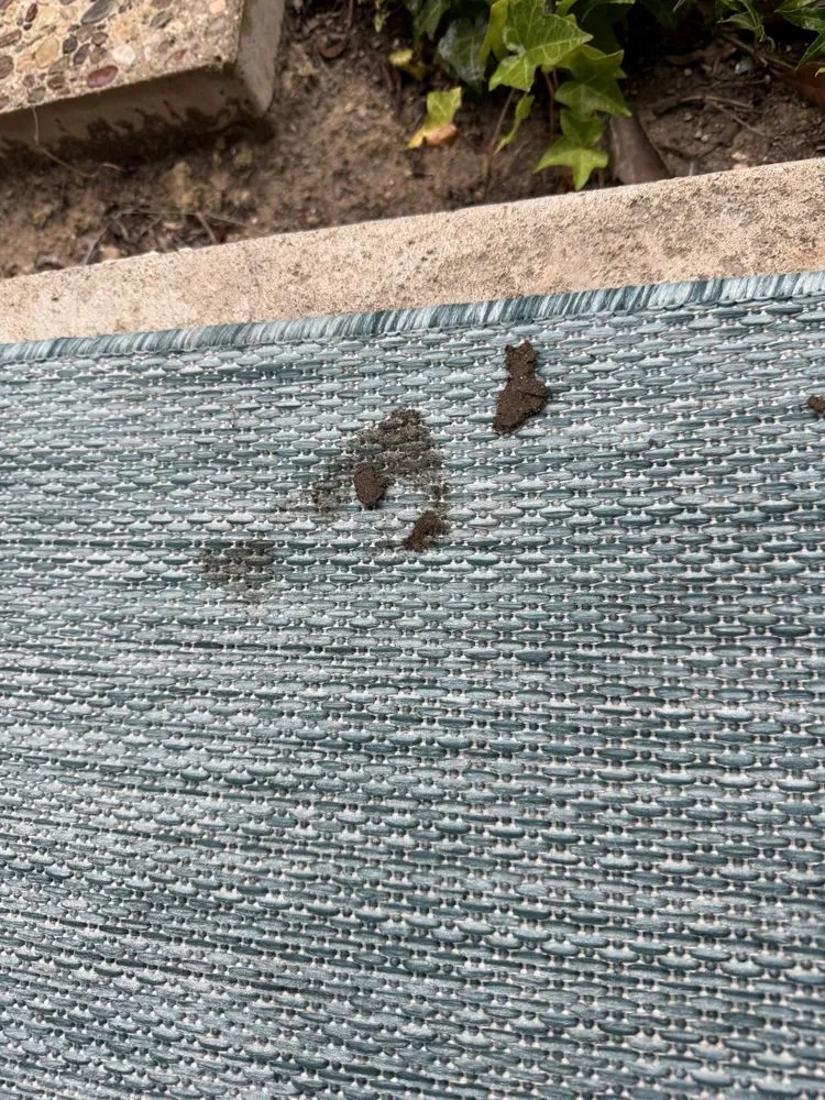 Expert yard maintenance in San Diego, CA - Le Perv Landscape