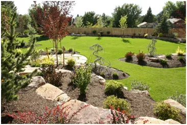 Affordable lawn care service for year-round maintenance across San Diego, CA - Le Perv Landscape