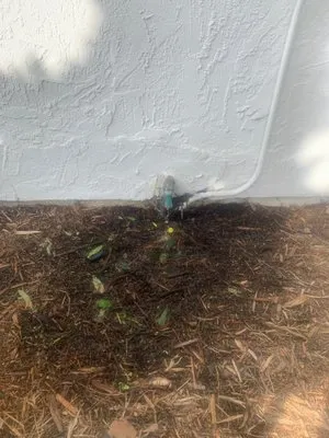 Le Perv Landscape Logo