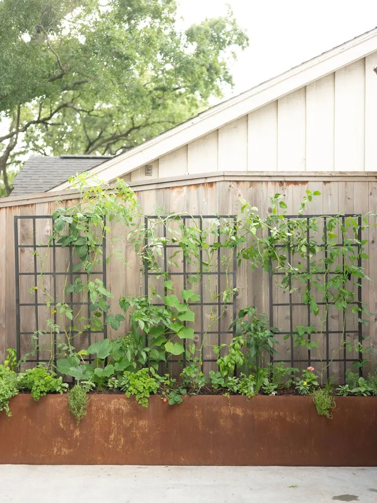 Top-rated outdoor landscaping for outdoor upgrades in Phoenix, AZ by Le Potager