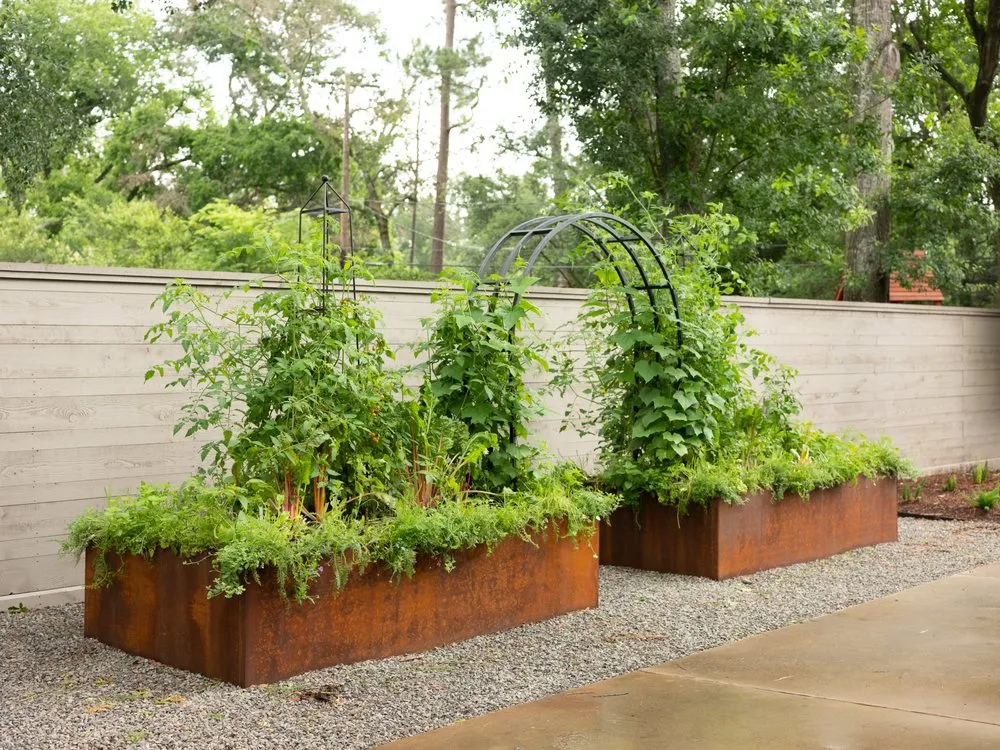 Professional yard cleanup service in Phoenix, AZ - Le Potager