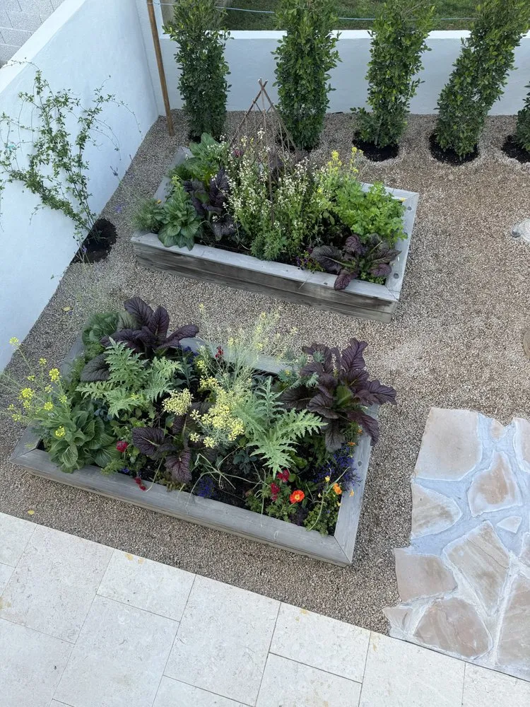 Trusted yard cleanup service in Phoenix, AZ by Le Potager