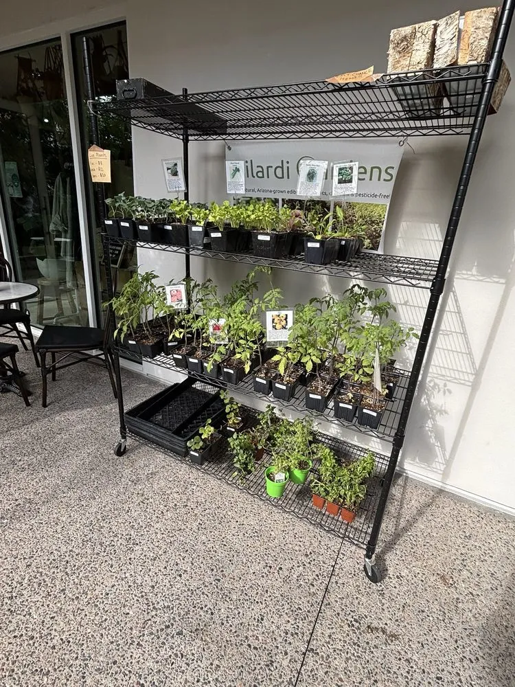 Reliable outdoor landscaping in Phoenix, AZ - Le Potager