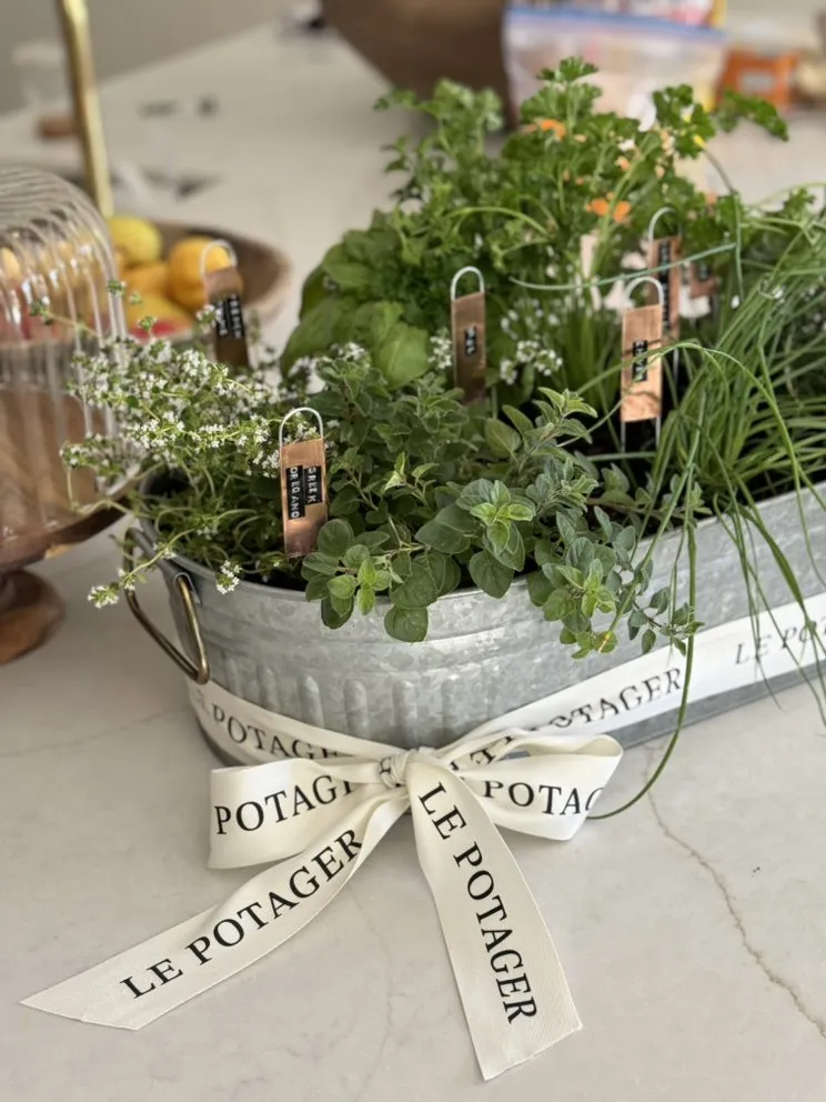 Affordable landscaping services experts serving Phoenix, AZ - Le Potager