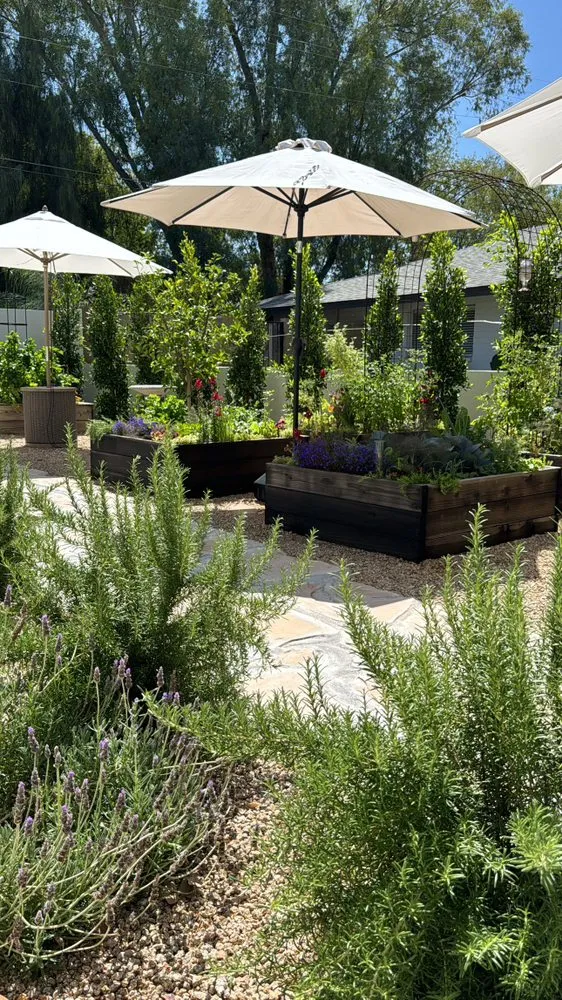 Custom landscape design in Phoenix, AZ by Le Potager