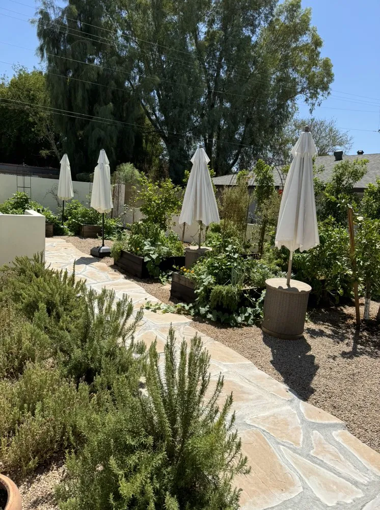 Trusted landscape design experts serving Phoenix, AZ - Le Potager