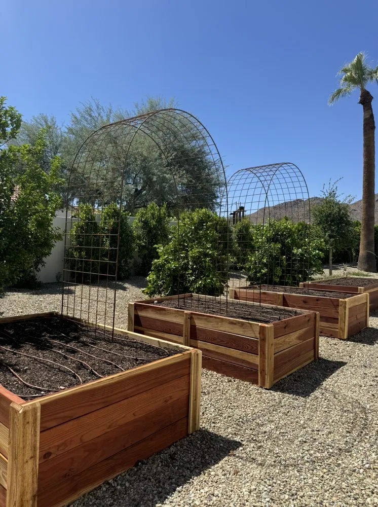 Expert outdoor landscaping in Phoenix, AZ by Le Potager