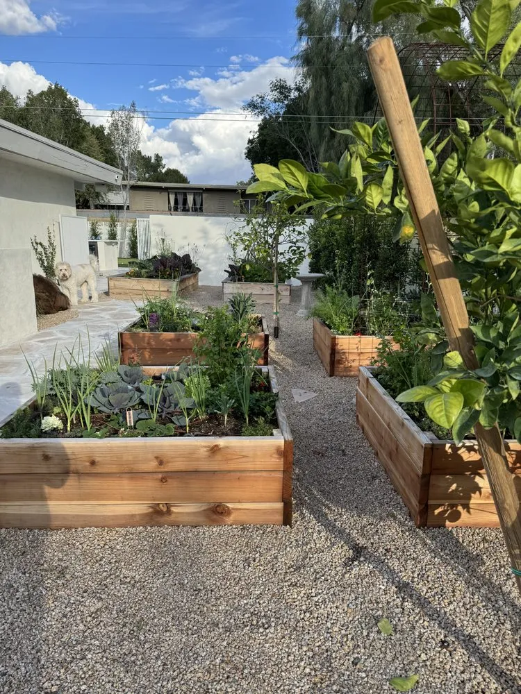 Professional yard maintenance near you across Phoenix, AZ - Le Potager