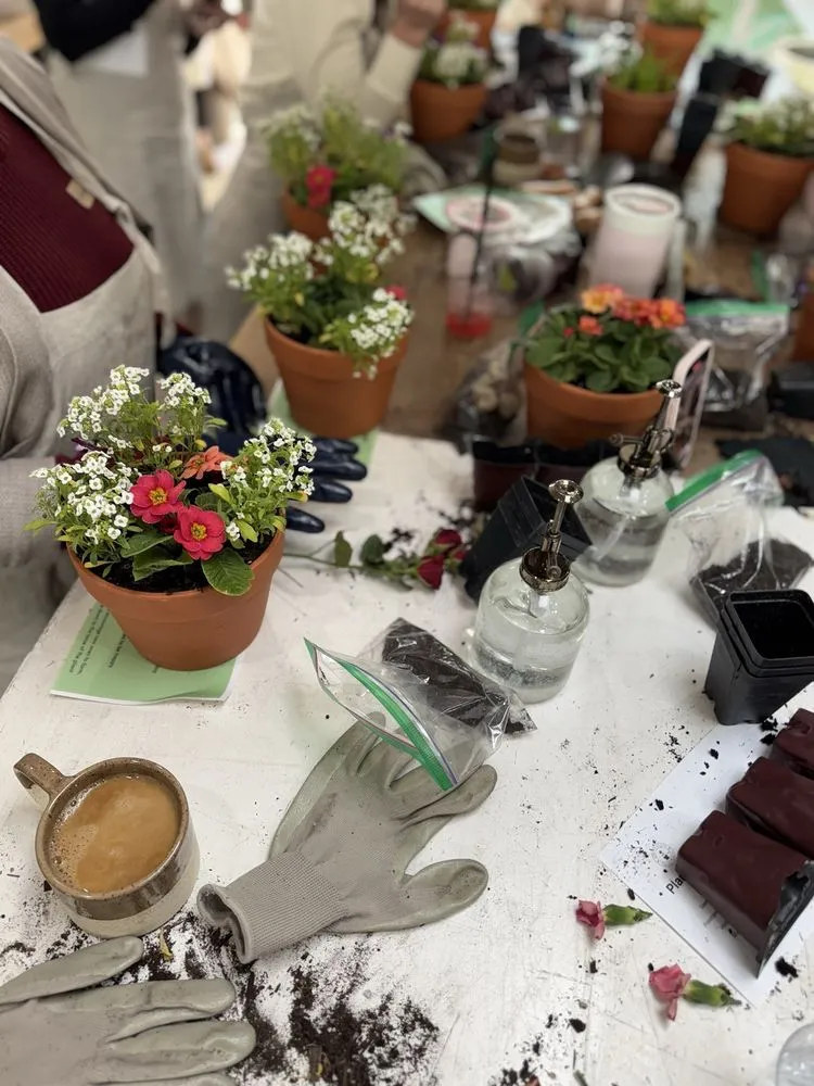 Professional landscape design in Phoenix, AZ by Le Potager