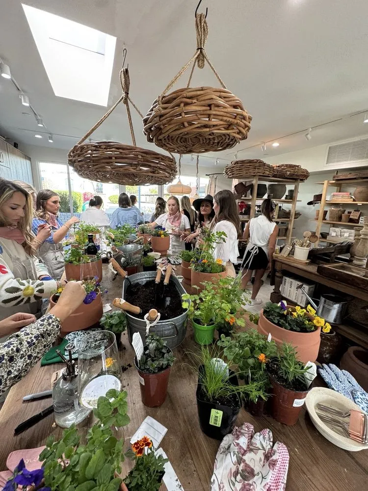 Reliable lawn mowing service in Phoenix, AZ by Le Potager