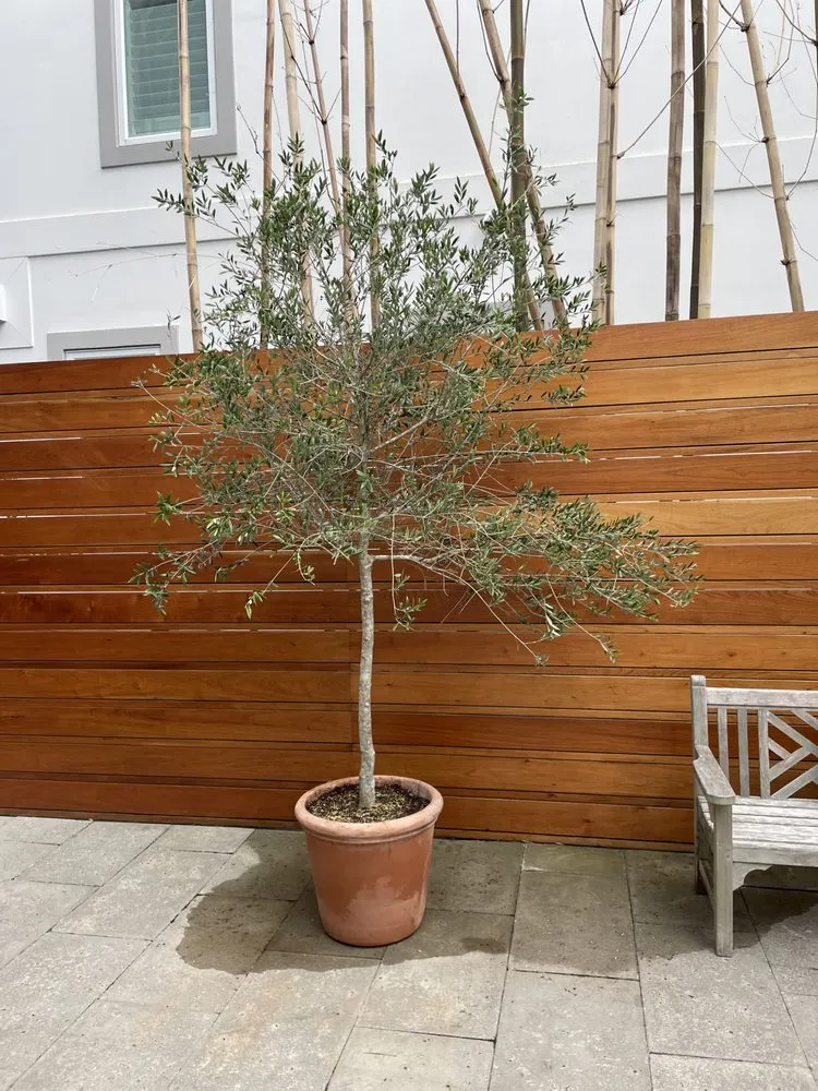 Top-rated residential landscaping with custom design in Pensacola, FL by Le-Scape Landscape Design