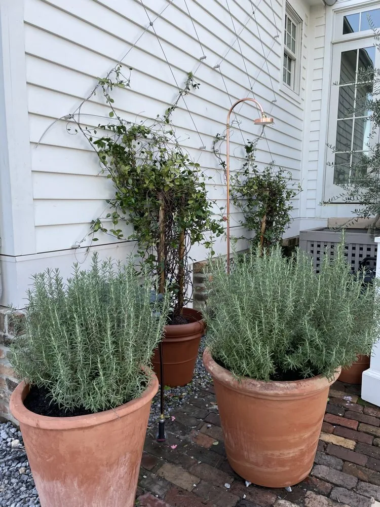 Custom lawn mowing service for residential properties across Pensacola, FL - Le-Scape Landscape Design