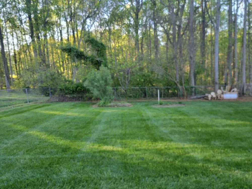 Custom outdoor landscaping experts serving Snow Camp, NC - L&E Service