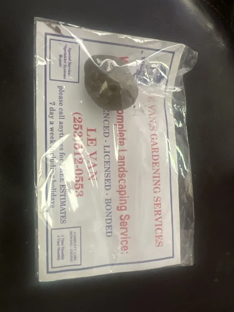 Trusted yard maintenance experts serving Lakewood, WA - LE Van's Gardening