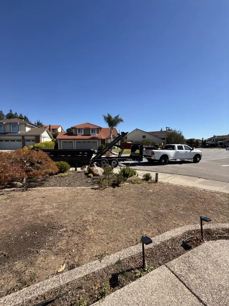 Expert lawn care service in San Francisco, CA by Lea & Kay Lawns Future