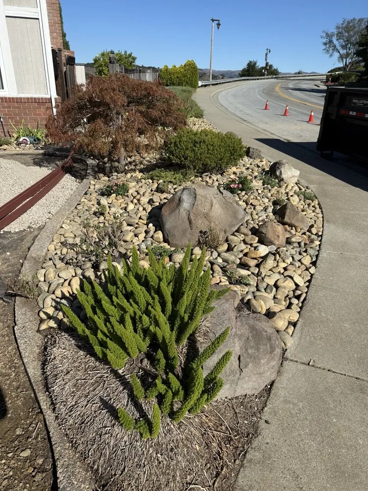 Expert landscaping services experts serving San Francisco, CA - Lea & Kay Lawns Future