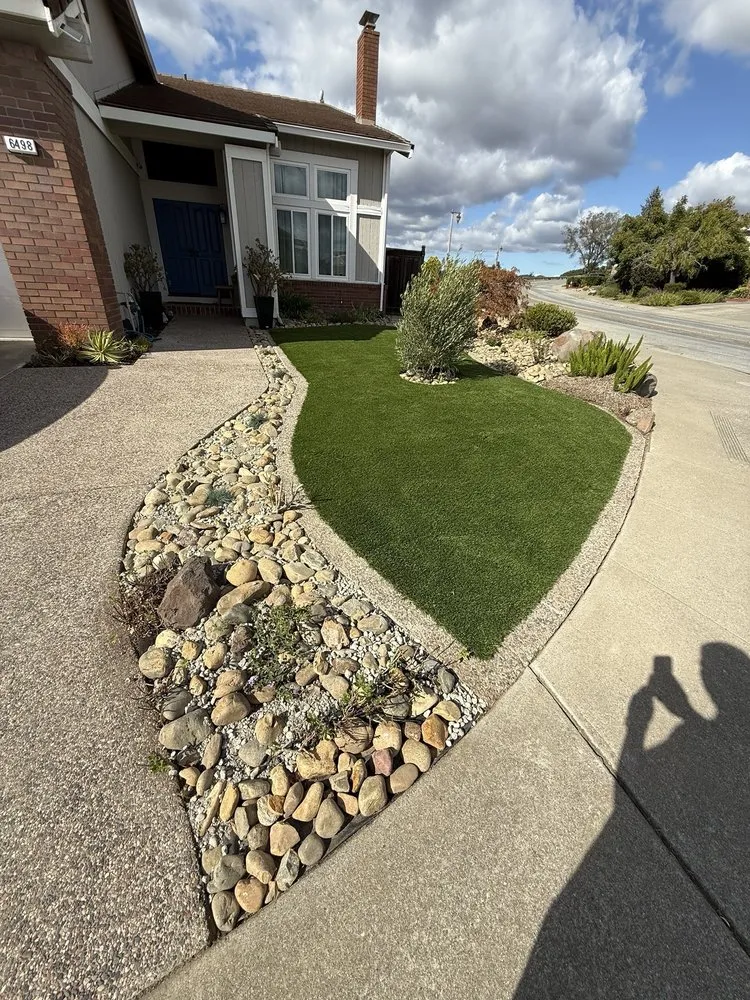 Expert lawn care service for residential properties across San Francisco, CA - Lea & Kay Lawns Future