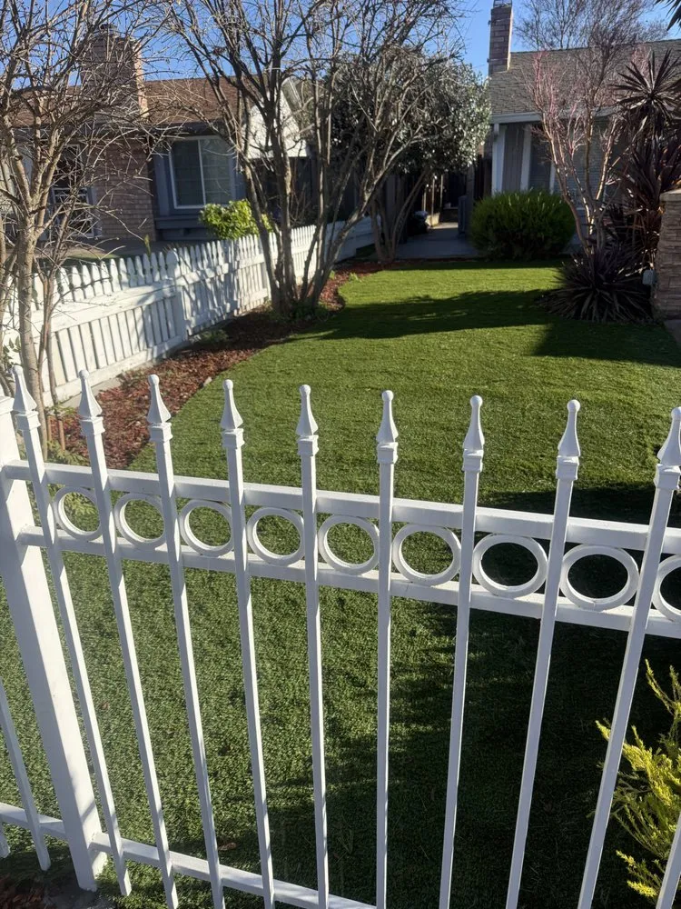Trusted lawn care service in San Francisco, CA - Lea & Kay Lawns Future